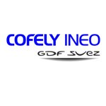 Cofely Ineo, Groupe GDF SUEZ