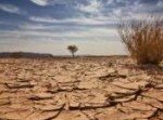 Somalie - Débat sur la sécheresse : réagir en amont ou en urgence ?