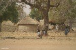 Burkina-Faso - Un atelier du documentaire scientifique a Ouagadougou