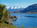 Nouvelle Zélande - « Les Frontières du court » Le combat pour la survie de sa biodiversité et de ses trésors