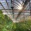 Fadi_greenhouse